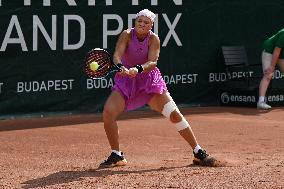 International Tennis match - WTA Hungarian Grand Prix - Final