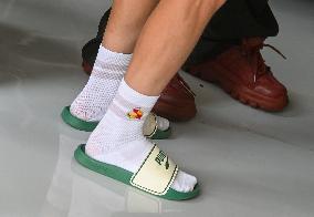 Formula 1 Championship - Formula 1 Hungarian Grand Prix 2024 - Race