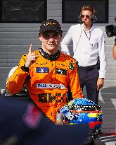 Formula 1 Championship - Formula 1 Hungarian Grand Prix 2024 - Race