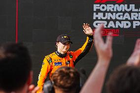 Formula 1 Championship - Formula 1 Hungarian Grand Prix 2024 - Race