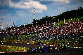 Formula 1 Championship - Formula 1 Hungarian Grand Prix 2024 - Race