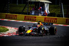 Formula 1 Championship - Formula 1 Hungarian Grand Prix 2024 - Race