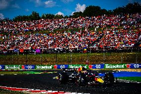 Formula 1 Championship - Formula 1 Hungarian Grand Prix 2024 - Race