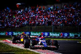 Formula 1 Championship - Formula 1 Hungarian Grand Prix 2024 - Race