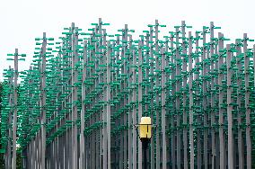 Plastic Beer Bottles