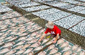 Dried Fish