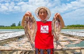 Dried Fish