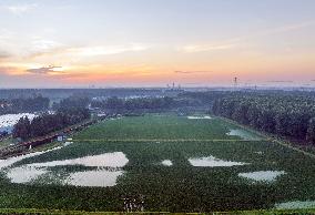 Villagers Picking Water Chestnut in Taizhou