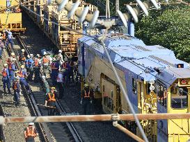 Shinkansen services disrupted due to maintain vehicle derailment