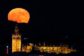 Full Moon Rises Behind The Cathedral - Seville