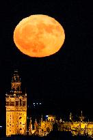 Full Moon Rises Behind The Cathedral - Seville