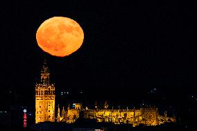 Full Moon Rises Behind The Cathedral - Seville