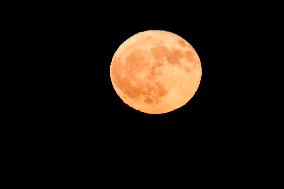 Full Moon Rises Behind The Cathedral - Seville