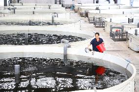 Digital Factory in Chongqing