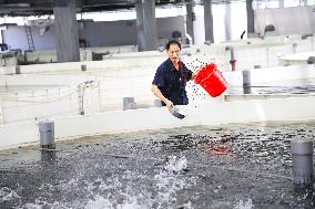 Digital Factory in Chongqing