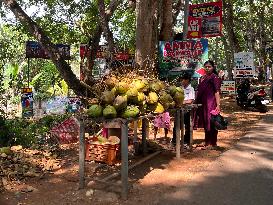 Daily Life In Neyyattinkara