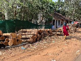 Daily Life In Neyyattinkara