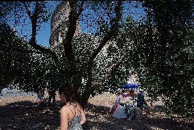 Extreme Heat Affects Daily Life In Italy