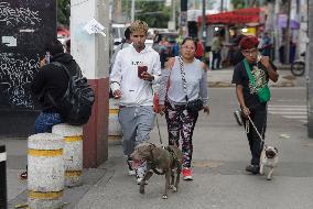 World Dog Day In Mexico