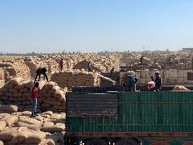 SYRIA-HASAKAH-WHEAT HARVEST