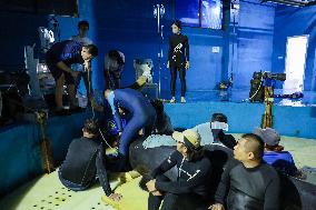 Short-Finned Pilot Whale Recovering - China