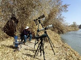 CHINA-GANSU-WETLAND-MIGRATORY BIRDS (CN)