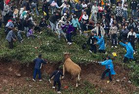 (SichuanMosaics)CHINA-SICHUAN-BUTUO-TORCH FESTIVAL-BULLFIGHTING (CN)