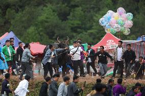 (SichuanMosaics)CHINA-SICHUAN-BUTUO-TORCH FESTIVAL-BULLFIGHTING (CN)