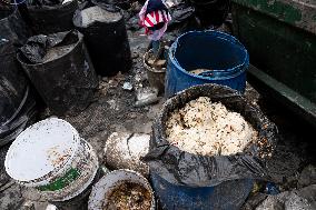 Daily Life In Bangkok, Thailand