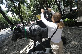 Cowparade Mexico 2024