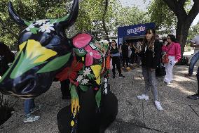 Cowparade Mexico 2024