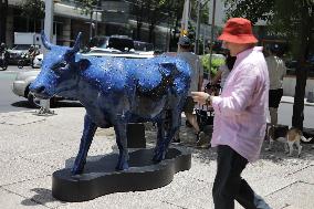 Cowparade Mexico 2024