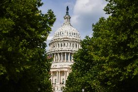 U.S. Capitol In Washington D.C.