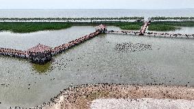 Chagan Lake in Songyuan