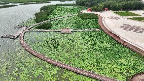 Chagan Lake in Songyuan