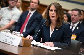 Secret Service Director Testifies On Trump Shooting - Washington