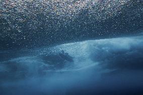 Paris 2024 - Surfing Training Session In Teahupo’