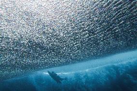 Paris 2024 - Surfing Training Session In Teahupo’