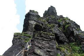 Mount Fanjing Goldentop in Tongren