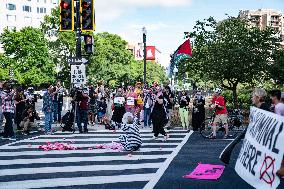 Pro-Palestine Activists Protest Ahead of Israeli Prime Minister's Visit to Washington