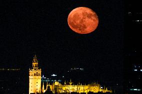 The Deer Supermoon - Seville