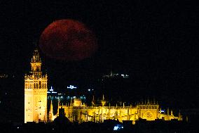 The Deer Supermoon - Seville