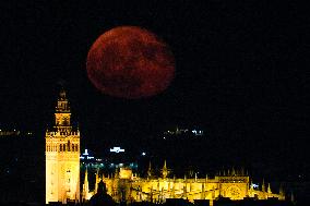 The Deer Supermoon - Seville