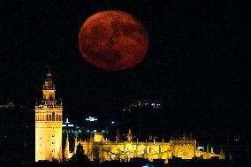 The Deer Supermoon - Seville