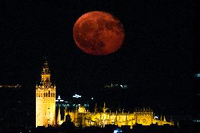 The Deer Supermoon - Seville