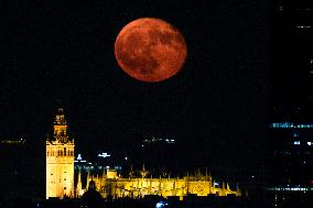 The Deer Supermoon - Seville