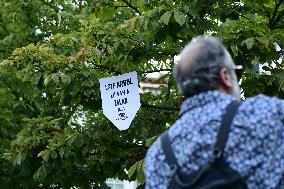 Madrid Residents Against The Cut Down Of The Trees In Plaza De Santa Ana