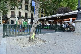 Madrid Residents Against The Cut Down Of The Trees In Plaza De Santa Ana