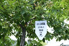 Madrid Residents Against The Cut Down Of The Trees In Plaza De Santa Ana