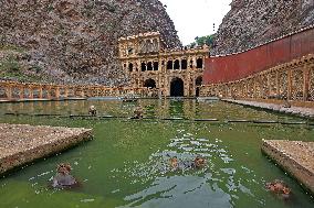 Shrine Galta Peeth Tirtha